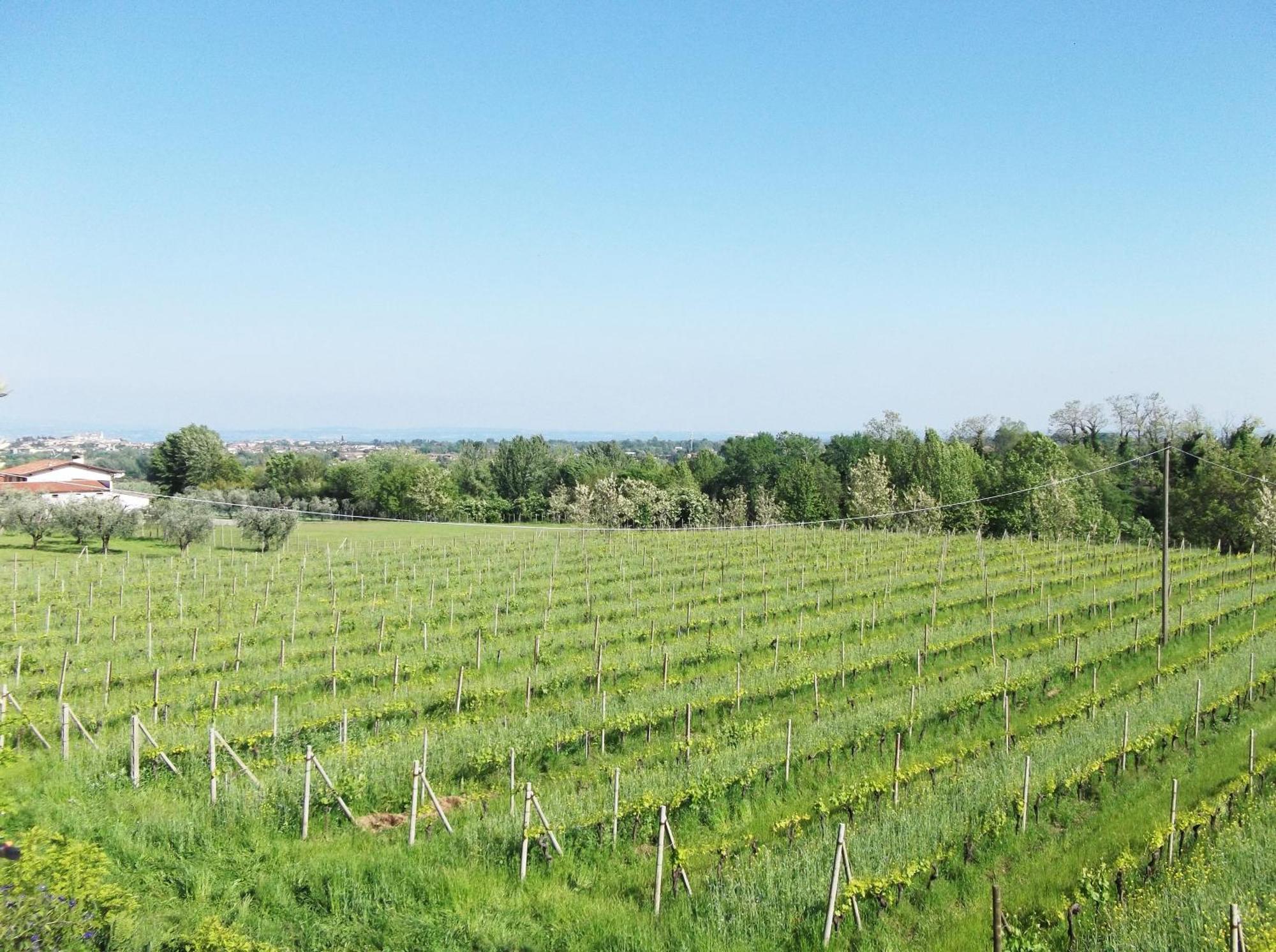 Villa Paradiso Polpenazze del Garda Ngoại thất bức ảnh