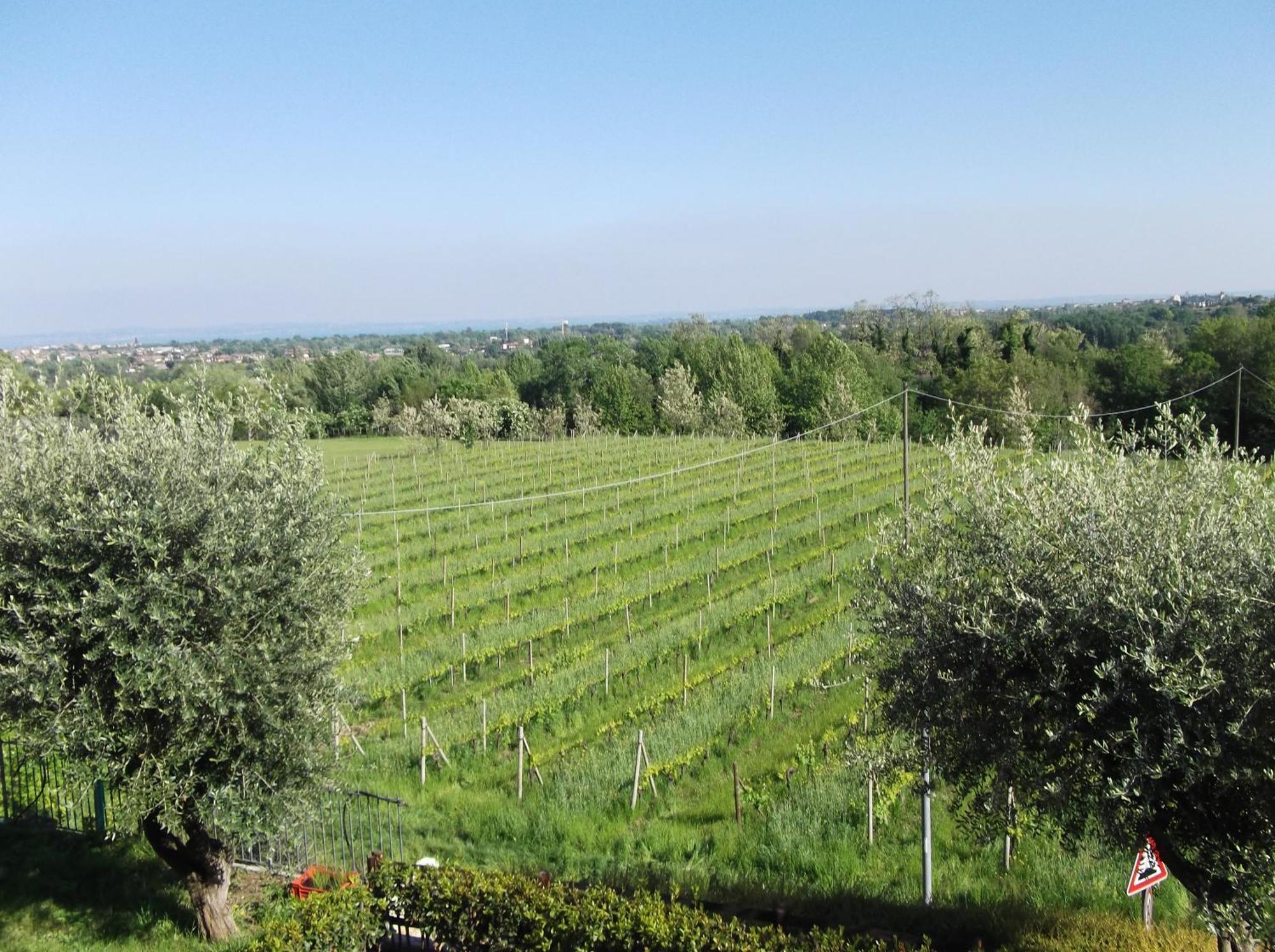 Villa Paradiso Polpenazze del Garda Ngoại thất bức ảnh